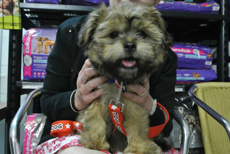 Outback Queensland QLD Doctors Find