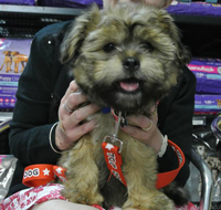 North West Veterinary Clinic - Doctors Find