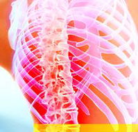 Beachside Chiropractic - Doctors Find