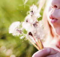 Kerrisdale Gardens Physiotherapy  Wellness Centre - Doctors Find