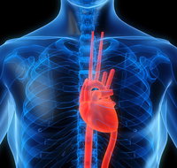 Achieve Exercise Physiologists - Doctors Find