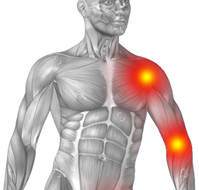 My Health Team - Doctors Find