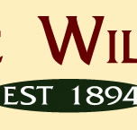 The Clinic Williamstown - Doctors Find