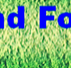 Hinterland Foot Clinic - Doctors Find