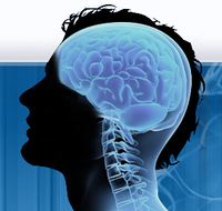 Dr Andrew C Kam Neurosurgeon - Doctors Search