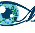 EyesMatter Pty Ltd - Doctors Find