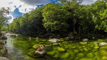 Tourism Listing Partner Accommodation Daintree